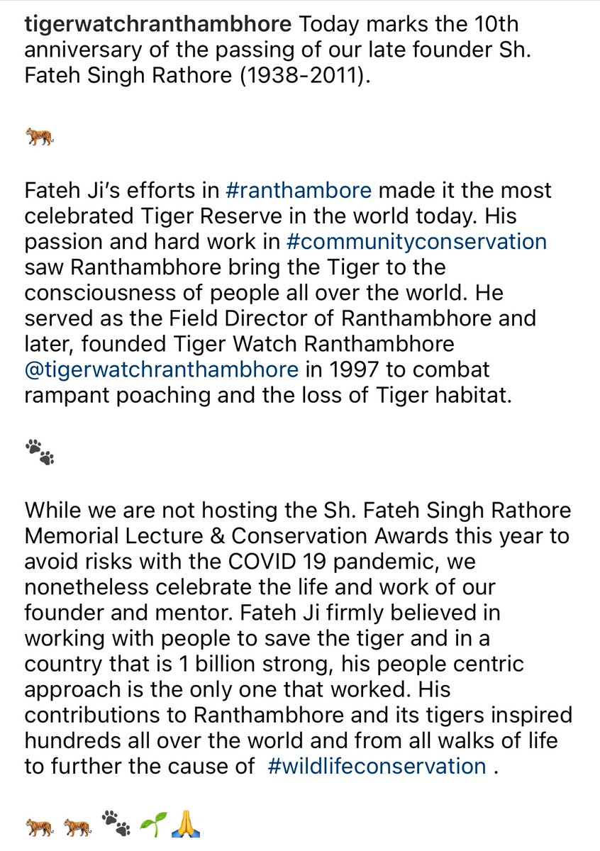 In memoriam Sh. Fateh Singh Rathore (1938-2011)
 🐅 🐅 🐾 🌱 🙏
#Ranthambhore
#Tigerconservation
#wildlifeconservation
#savethetiger 
#wildlifewarriors
#tigerwallahs