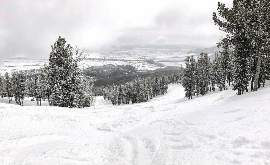 DennisRPhoto's tweet photo. Beautiful winter. Beautiful day to ski!  #redlodgemountain #montana #powder #snow #skiday #winterwonderland #snowday❄️ https://t.co/iy9RbX8idW
