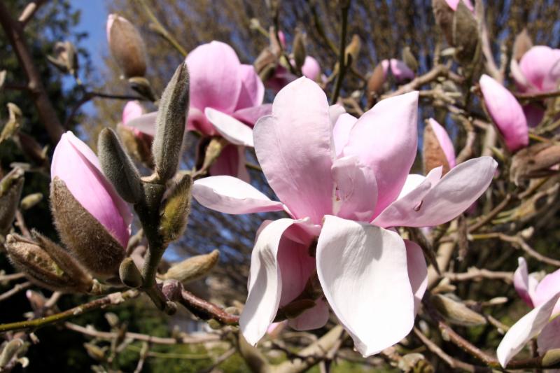 Grumpy Taxpayer$ - Mar. 2021 - E-News conta.cc/3bJjggg