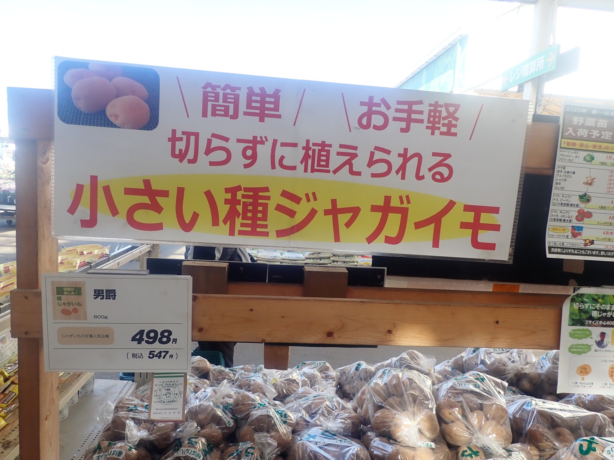 やさい畑編集部 ジャガイモの種イモを買い出しに出かけました キタアカリ3 と そのお店がイチオシにしている とうや1 を購入 種イモはどれくらい必要かな と思案していたら 1 で4 分とpopに書かれていました 痒いところに手が届くpopの やさい畑編集部 ジャガイモの種イモを買い出しに出かけました キタアカリ3 と そのお店がイチオシにしている とうや1 を購入 種イモはどれくらい必要かな と思案していたら 1 で4 分とpopに書かれていました 痒いところに手が届くpopの