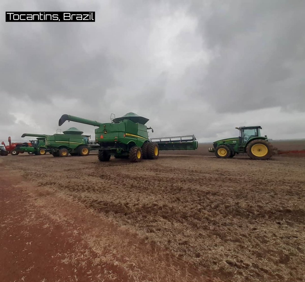 DDFalpha's tweet photo. Sad situation in Tocantins, Brazil as letter states from @AprosojaBR that optimism for this yrs crops have faded over last couple wks. Severe crop damage due to excessive rains &amp; humidity. Some producers seeing 25-30% grain losses &amp; some have much higher. #soybeans 🌱 #Brazil 🇧🇷 https://t.co/ltsTYqVsHW