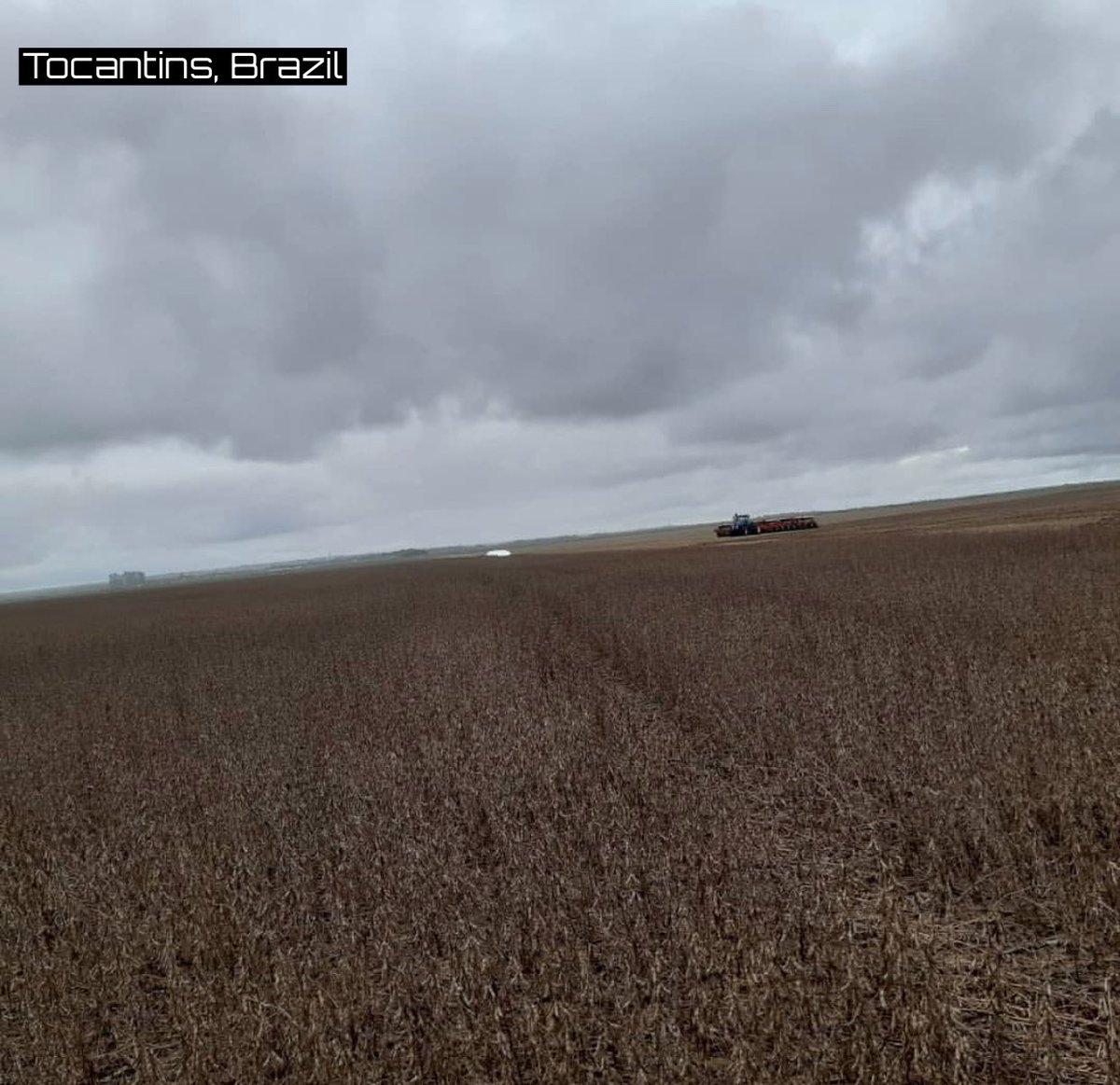 DDFalpha's tweet photo. Sad situation in Tocantins, Brazil as letter states from @AprosojaBR that optimism for this yrs crops have faded over last couple wks. Severe crop damage due to excessive rains &amp; humidity. Some producers seeing 25-30% grain losses &amp; some have much higher. #soybeans 🌱 #Brazil 🇧🇷 https://t.co/ltsTYqVsHW