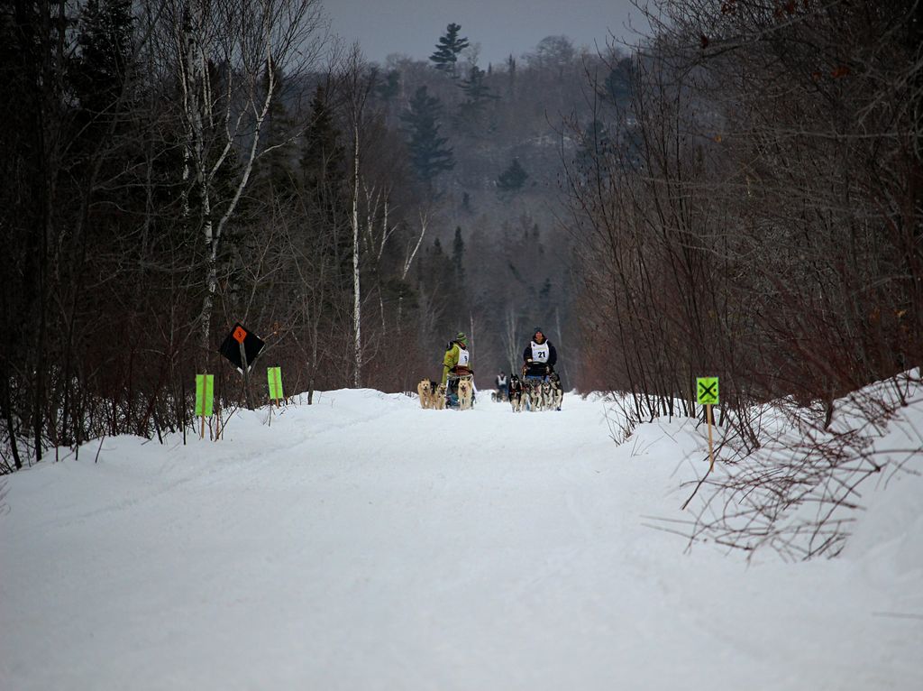 JFylip's tweet photo. Bucky Tippett(#6) looked pretty relaxed the first time he passed the intersection.
Jaimee High(#9) checks on the competition while Erin Altemus(#21) pushes ahead. #CopperDog150 @CopperDog150 #CD150 #sleddogs https://t.co/0pS9o5L41n