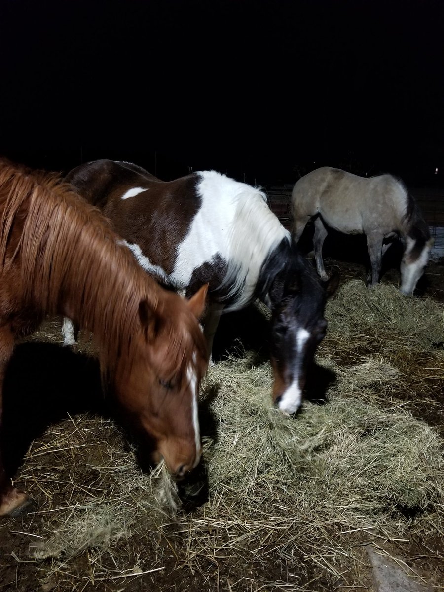 Beautiful night watching the kids eat.