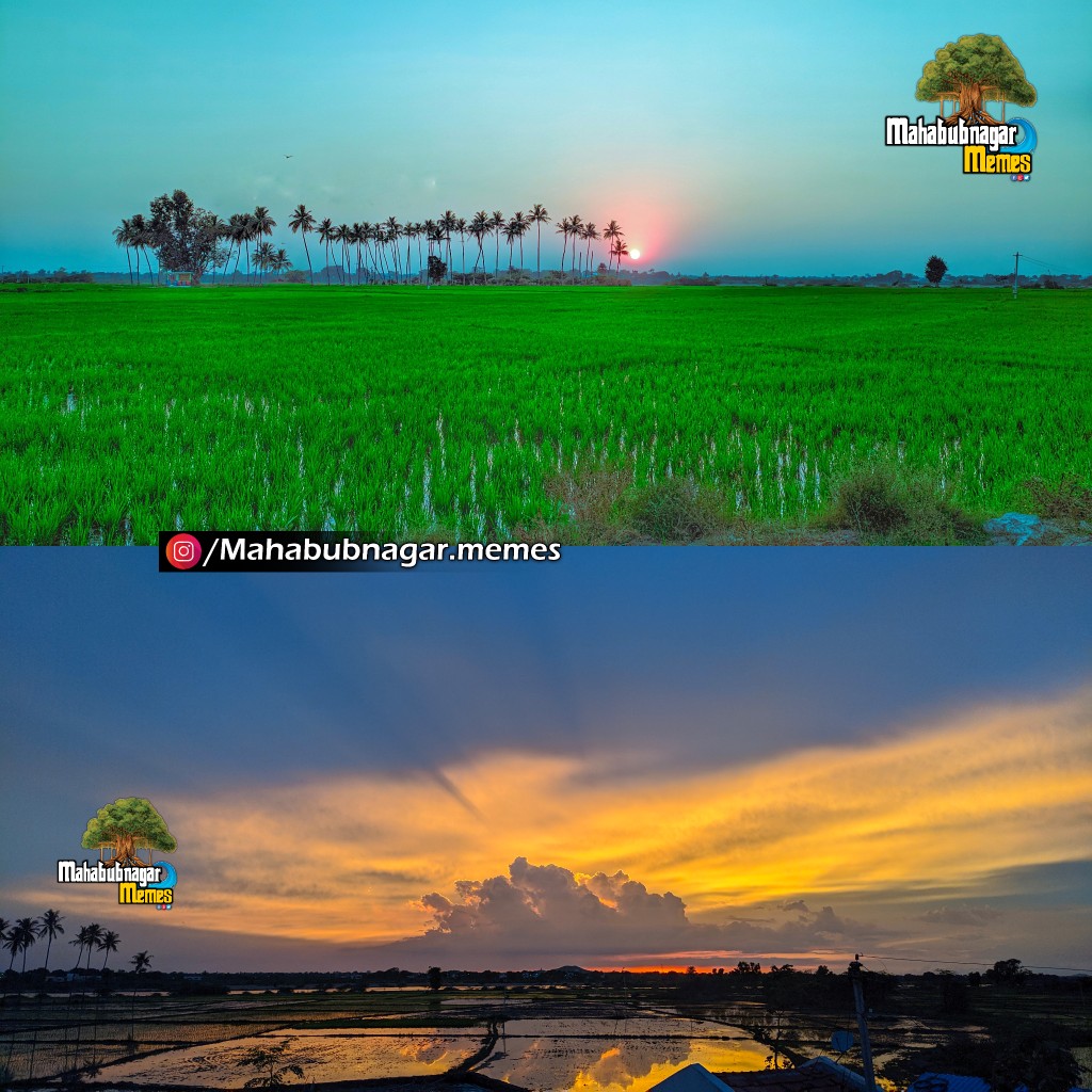 MBNRMemes's tweet photo. Appampally village, Chinnachintakunta mandal, Mahabubnagar Dist. ❤️🙌
#appampally #cckunta
#mahabubnagarmemes #mbnrmemes #greenfields #NatureBeauty #UntappedNature #Mbnr #MahabubnagarNature https://t.co/l7p2cPulHo