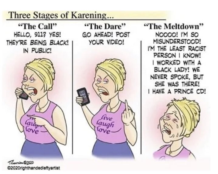 アメリカ社会を蝕む カレン とは 飛行機内で理不尽に乗客に暴行暴言を加えた女性は カレン と呼ばれていた そしてクレーマー カレン 達の様々な実態が明らかに Togetter