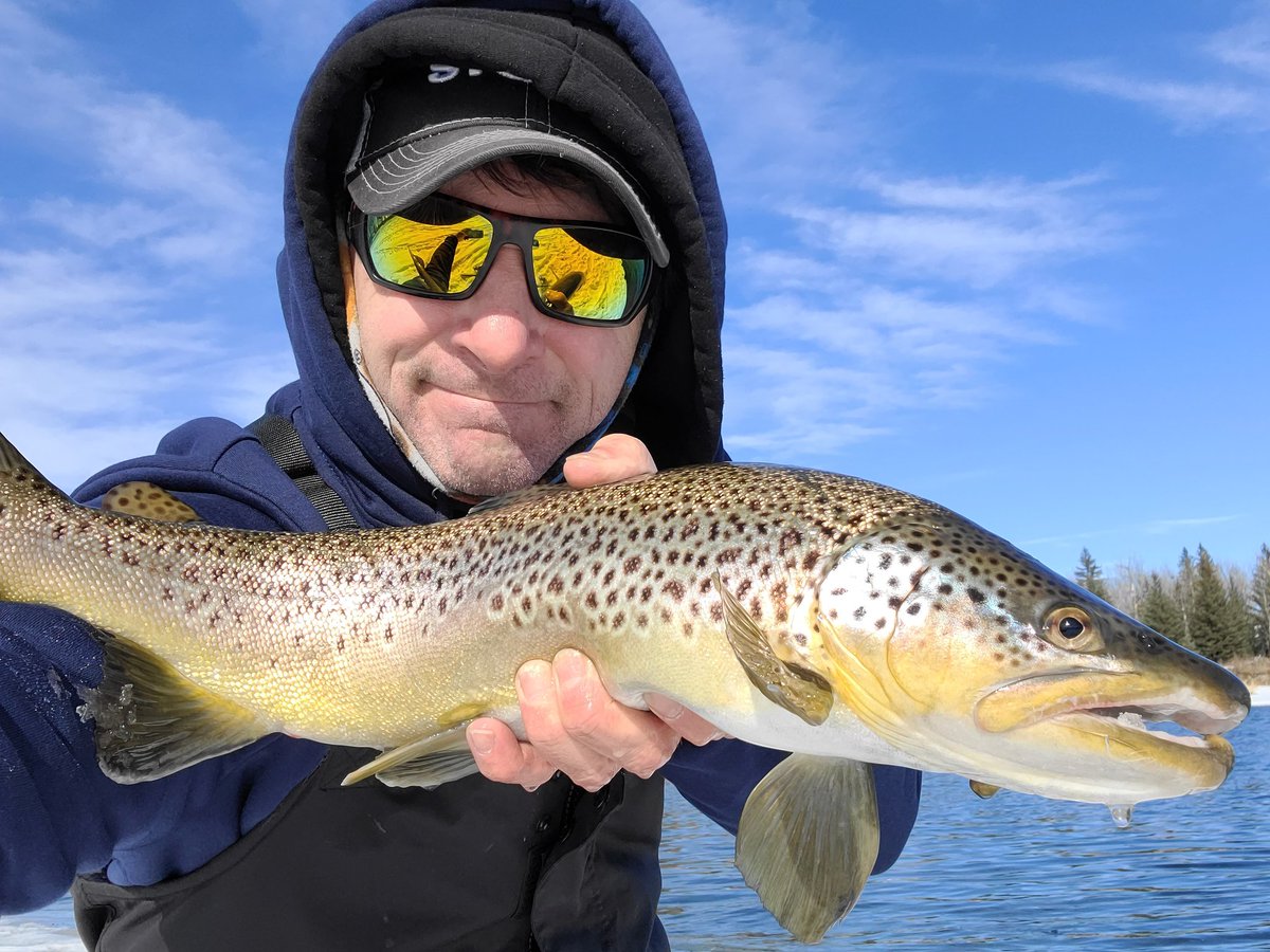 Beauty brown for today's efforts!! #browntown #sundayafternoon