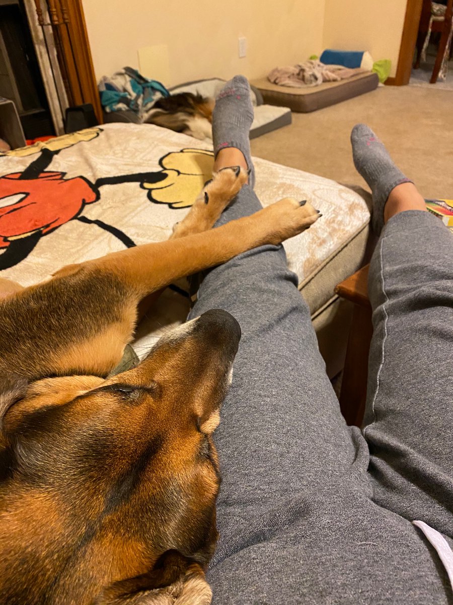 NessaLewWho's tweet photo. @PAVGOD Protecting mommy ππΎβ€οΈ
#Merlin #protectivepup https://t.co/u6Ml9gQMW3