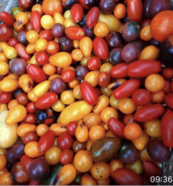 Prince Albert Tourism tweet media