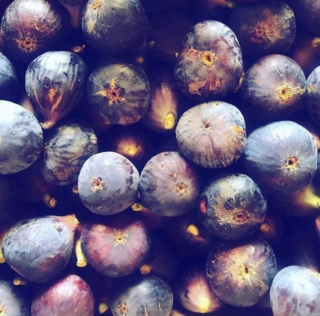 Prince Albert Tourism tweet media