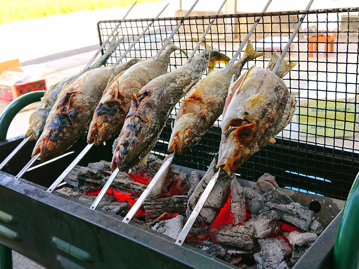 tatsujin_do's tweet photo. 釣ったお魚を焼き焼き
#ソロキャンプ #垣天火 #ENTENKA https://t.co/rrN52pRuGF