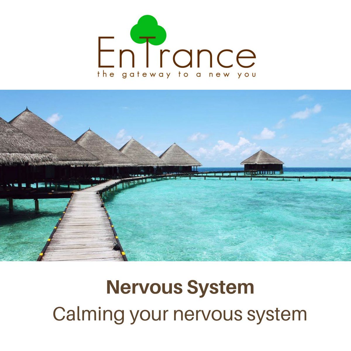 EnTranceHypno's tweet photo. EnTrance Self Help Hypnosis App
EnTrance (Apple store) - https://t.co/y8zTW0cAS6
EnTrance (Google play ) - https://t.co/VtgidVYqxV
Change your #life today. #selfhelpmotivation #personaldevelopmentmotivation #meditation #hypnosis #recovery #addiction #wellbeing #rehabilitation https://t.co/9NfhCbTZms