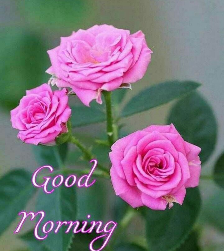 Anil P. Sule. (@anilpsule1) on Twitter photo 