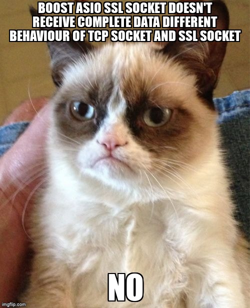 overflow_meme's tweet image. Boost asio ssl socket doesn&apos;t receive complete data different behaviour of tcp socket and ssl socket stackoverflow.com/questions/6640… #ssl #cpp #boostasio #https #sockets