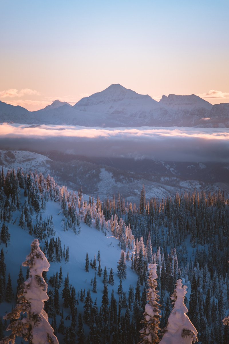 petenathanson's tweet photo. sunrise in the alpine https://t.co/usKSapqIBW