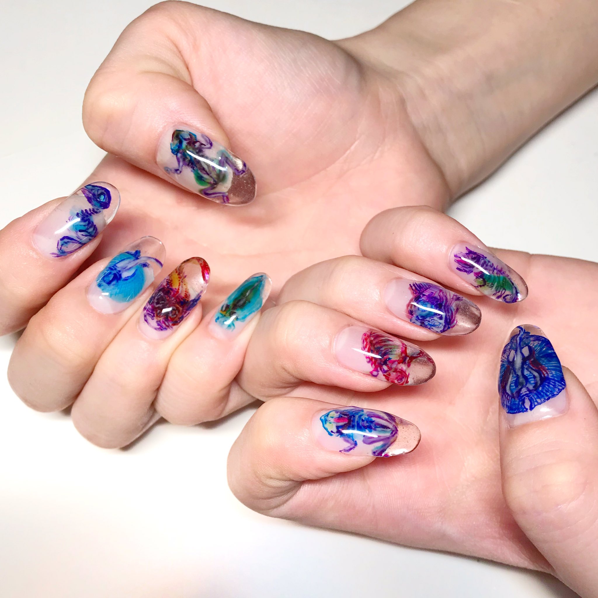 Twitter 上的 Pono Nails 透明標本ネイル Ulalacandypink 蓄光ネイル 魚ネイル ジェルネイル T Co Ctgupwif76 Twitter