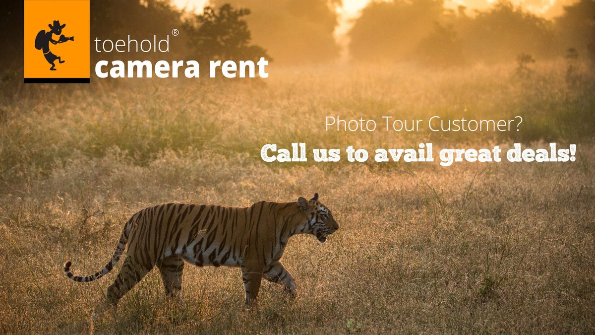 TOEHOLD_TP's tweet photo. Joining us on one of our tours? Hire from us the right gear for your photo tour (under our expert guidance) and avail 10% discount!

#toehold #toeholdtravel #toeholdphotography #travel #photography #wildlife #safari #safariphotography #forest #rentals #camerarentals #cameralense https://t.co/uL3xJq6p7d