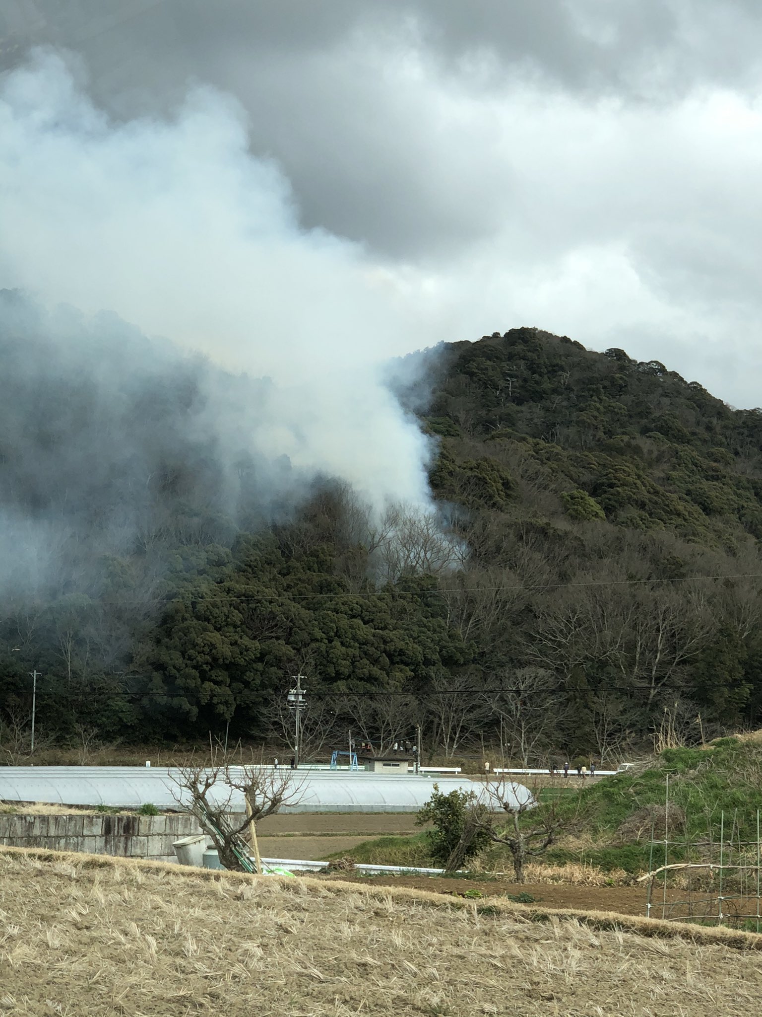 画像 山火事だ T Co Wj45fchinx Matomehub まとめハブ