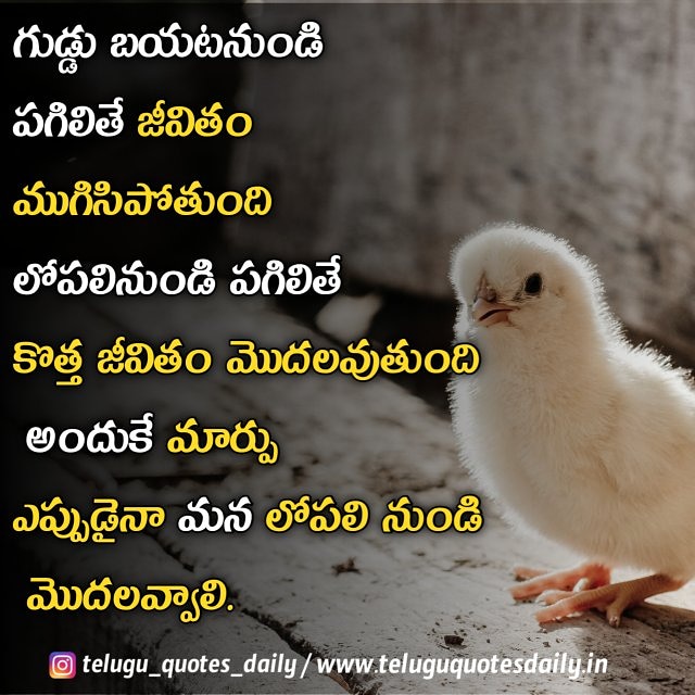 Telugu Quotes Daily on Twitter: 