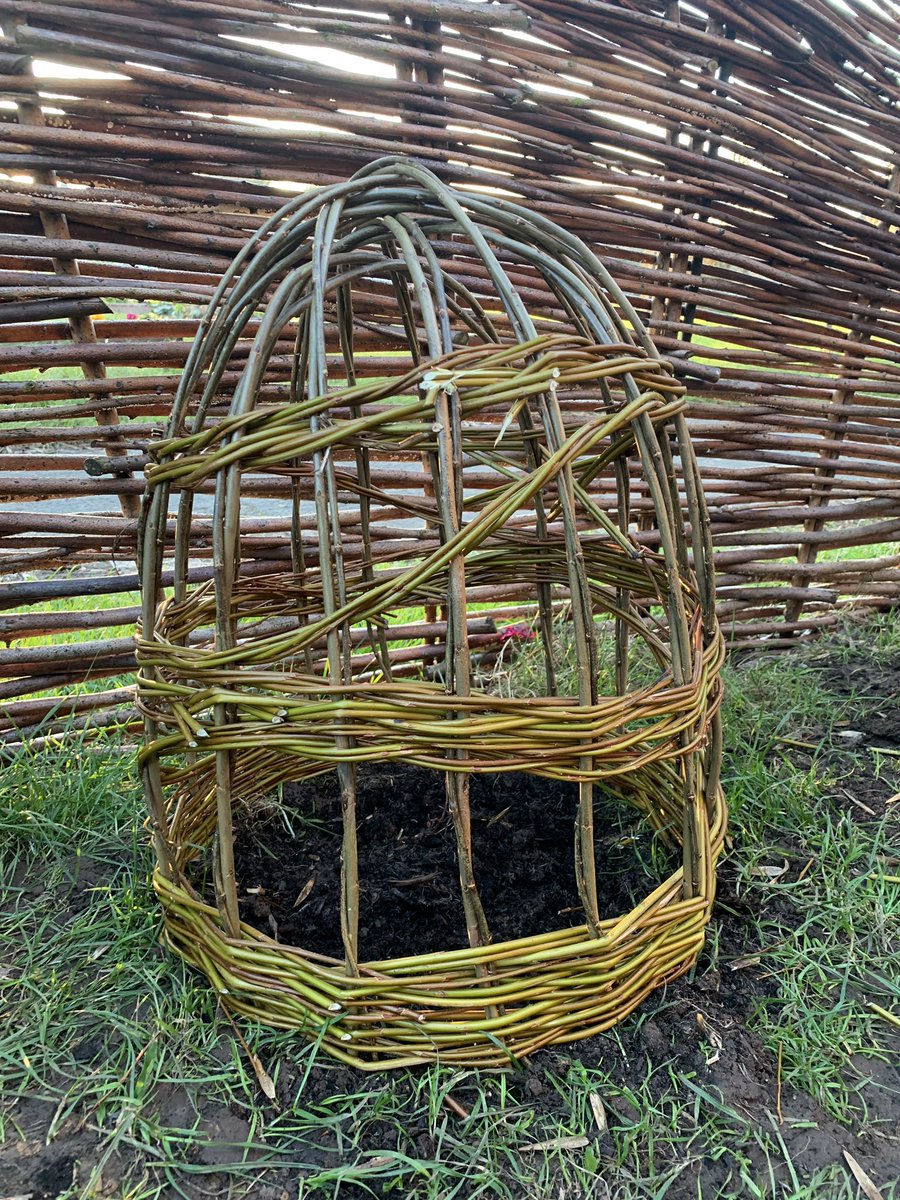I have just added a new module to my plant cages and obelisk making course at Udemy, on how to make these Peony cages.      udemy.com/course/willow-…. waysidewillow
#learntoweave
#willowsculptures
#learncraft
#willowworkshop
#craftcourses
#willowcraft
#weaver
#basketmaker