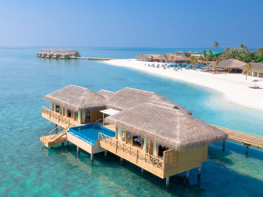 30% Discount on room rates + FREE meal plan upgrade at You and Me Resort Maldives <a href="/youandmemaldive/">You & Me Maldives</a>

Bedsmore.com info@bedsmore.com <a href="/BedsMorecom/">BedsMore MV</a>  

#YouandMe #Maldives #You_and_Me @Maldives #YouMeResort #You_and_Me_Resort #You_and_Me_Maldives

bedsmore.com/en/hotel/detai…