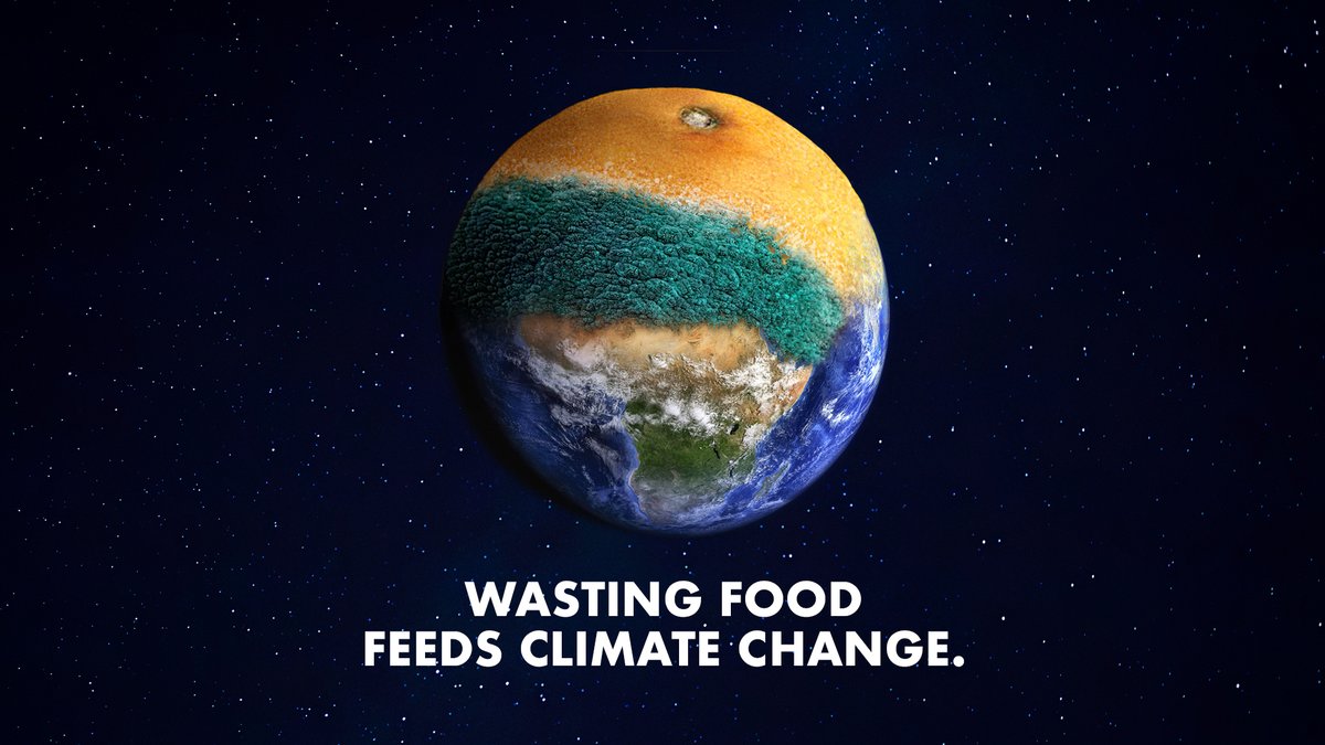 It’s #FoodWasteActionWeek and we’re supporting @LFHW_UK in their mission to tackle wasted food and its impact on #climate change. Read more about our partnership and how to take part here: okt.to/29Jh4m #sustainability