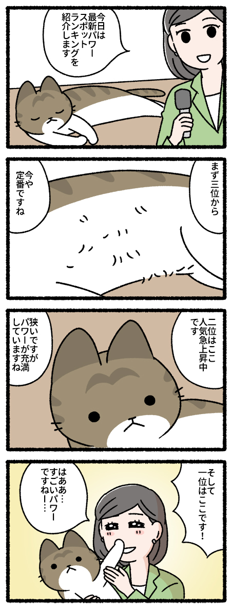 猫のパワースポット 