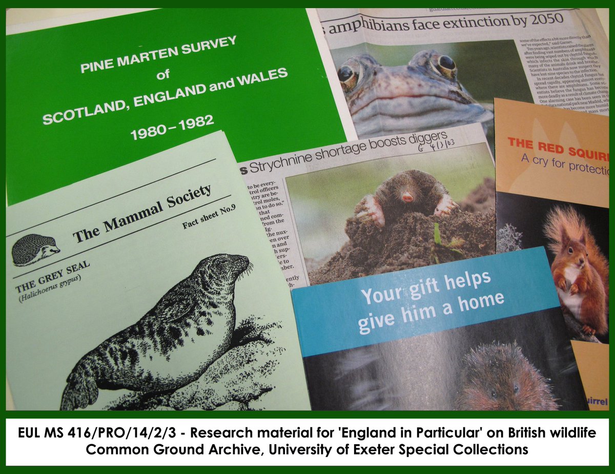 UoEHeritageColl's tweet image. Happy #WorldWildlifeDay! 🐸🦊🐭🦋🐿️🐇🐞

The #CommonGroundArchive contains lots of printed material relating to wildlife native to the UK. This was collected for research purposes by the arts &amp;amp; environmental charity @CommonGroundLab. Here&apos;s a small selection! #ExploreYourArchive