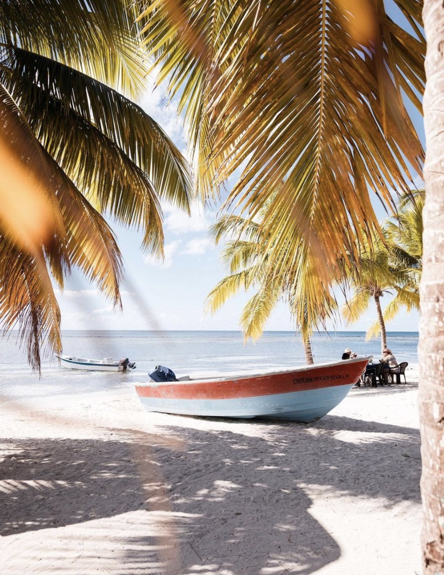 OTRep_Dom's tweet photo. Un décor de carte postale, que vous allez bientôt pouvoir admirer de vos propres yeux 😍

📍Isla Saona, #RepubliqueDominicaine
📸@OurAmDream 

#voyage #saonaisland https://t.co/CypJle6Rmx