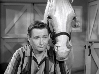 TuiTheHuman's tweet photo. You’re Wanda — What 4 sitcoms do you live through? https://t.co/SwPRBJ4SBT