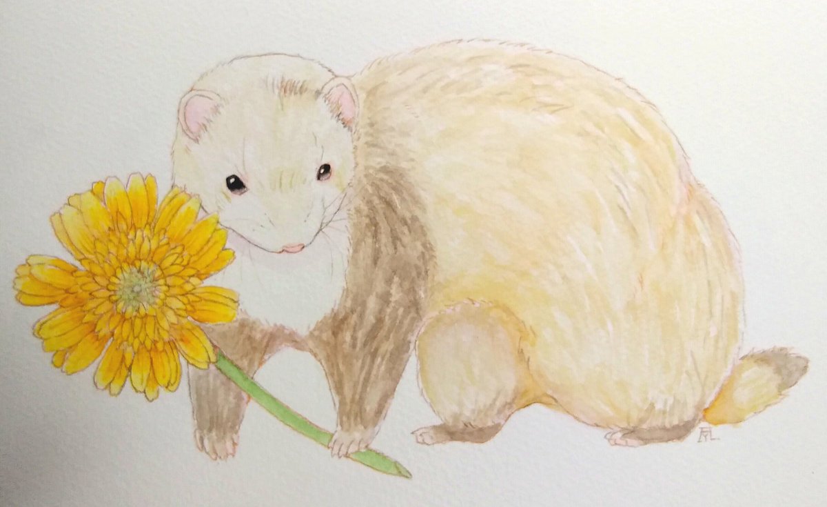つイタチだしイタチの画像あげていこうぜ 伊達 6 25 7 7アートの原石展 Iynのイラスト