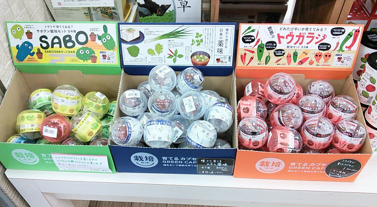 育てるカプセル