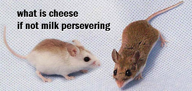 sincerelysofi's tweet image. 