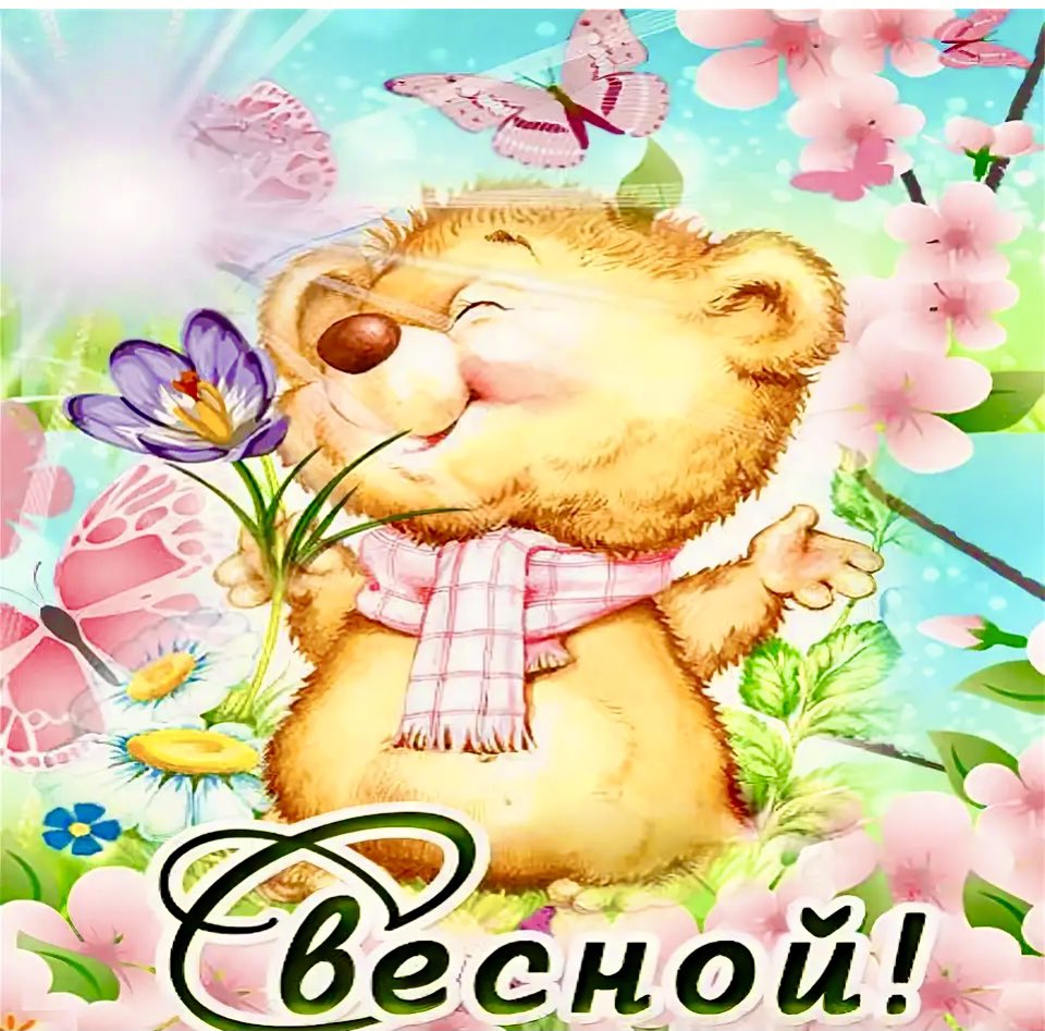 Елена  (Elena) (@moselenav) on Twitter photo 