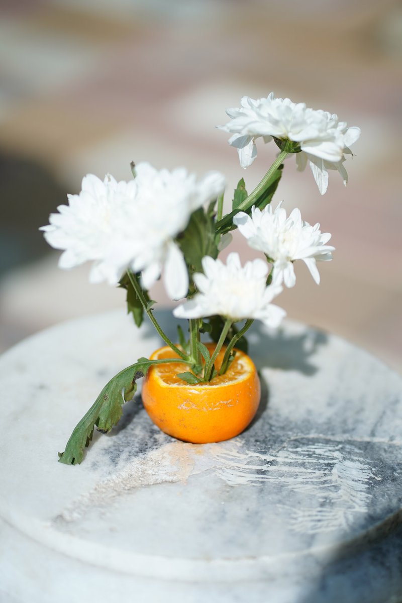 Purple Grapes Events (@purplegrapeevnt) on Twitter photo 