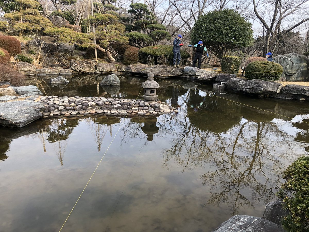 シロサギ に食べられてしまう鯉 を守るために 池に水糸を張りました これで大丈夫かなあ 逢瀬公園 緑化センタ 21 03 01 動画あり 逢瀬公園 緑化センター ぐるっと郡山 シロサギ に食べられてしまう鯉 を守るために 池に水糸を張りました これで大丈夫かなあ 逢瀬公園 緑化センタ 21 03 01 動画あり 逢瀬公園 緑化センター ぐるっと郡山