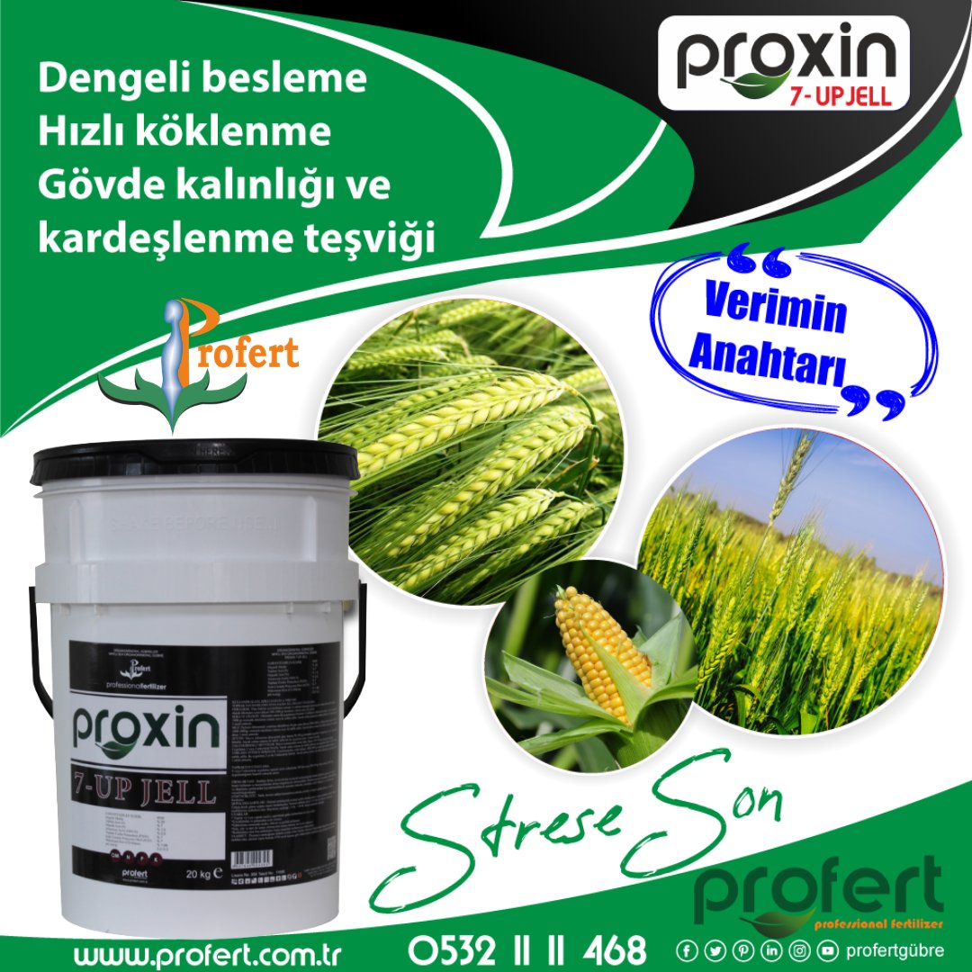 Profertgubre's tweet photo. Verimin Anahtarı Proxin 7-UP ile
❗️Dengeli besleme
❗️Hızlı köklenme 
❗️Gövde kalınlığı ve kardeşlenme teşviği ile
❗️ Strese son

#profert #profertgübre #proxin7up #pazartesi #Mart #martenicka #GururSenel #GururŞenelTutuklansın #meteor #izmir #antalya #Konya https://t.co/hpSP0kwEjd