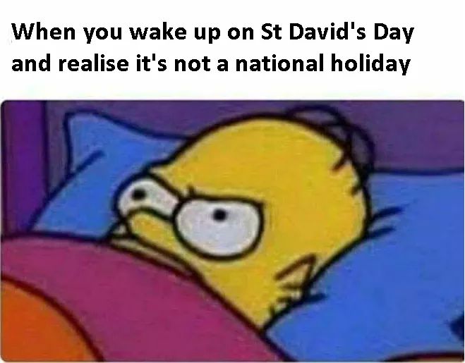 sᴀᴍ ʀʜʏs tweet media