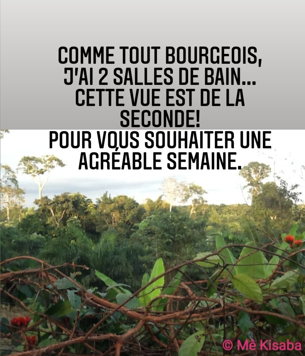 nar6lAfrodiziak's tweet photo. Agréable semaine ou que vous soyez !
#mekisaba #Akye #Abidjan #azaguié #Agneby #Adzope #dabali #outdoorcafé #visiterlafrique #africa #travelafrique #evasion
#africanforest #greentourism #brousse #nature #tourismevert #forest #mothernature #plantation #tree #cotedivoire https://t.co/A8ITmg1Ruh