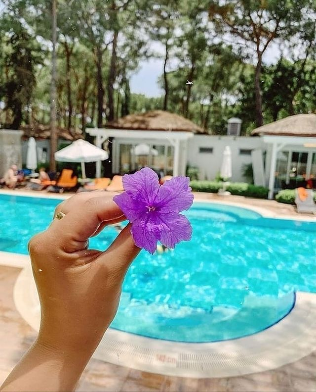 Весна - это не столько время года, сколько состояние души... 🌺☀️🍃 
#NirvanaMediterraneanExcellence 
#NirvanaHotels #NirvanaME #KilitHospitalityGroup #KHG #Турция #комфортный #отдых
📷 @ melekkhayta 
nirvanahotel.com