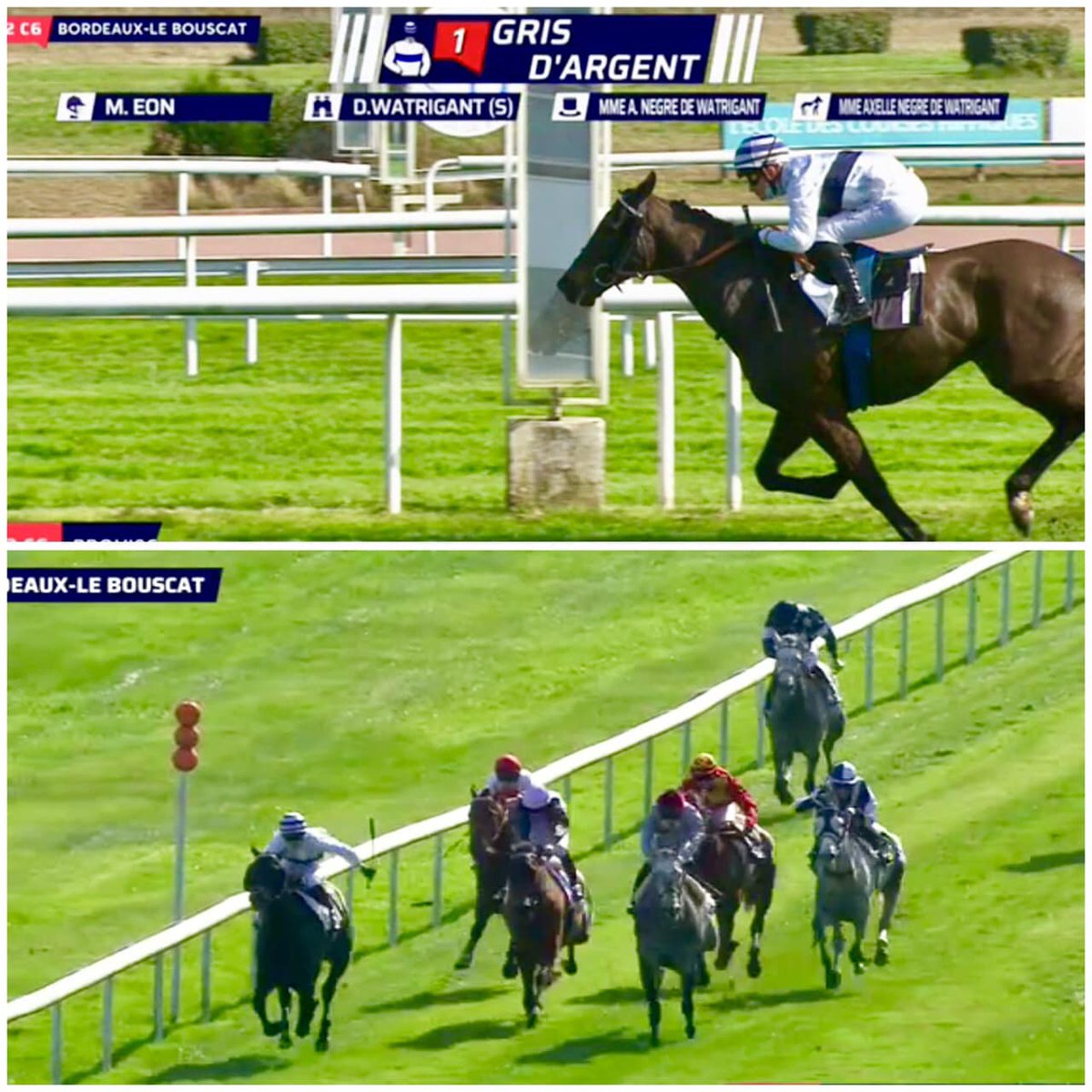 🐴Gris d’argent 🏆10 victoires, 20 places pour 40 courses. Un vrai guerrier.
Propriétaire : #AxelleNegredeWatrigant
Entraîneur : #DamiendeWatrigant