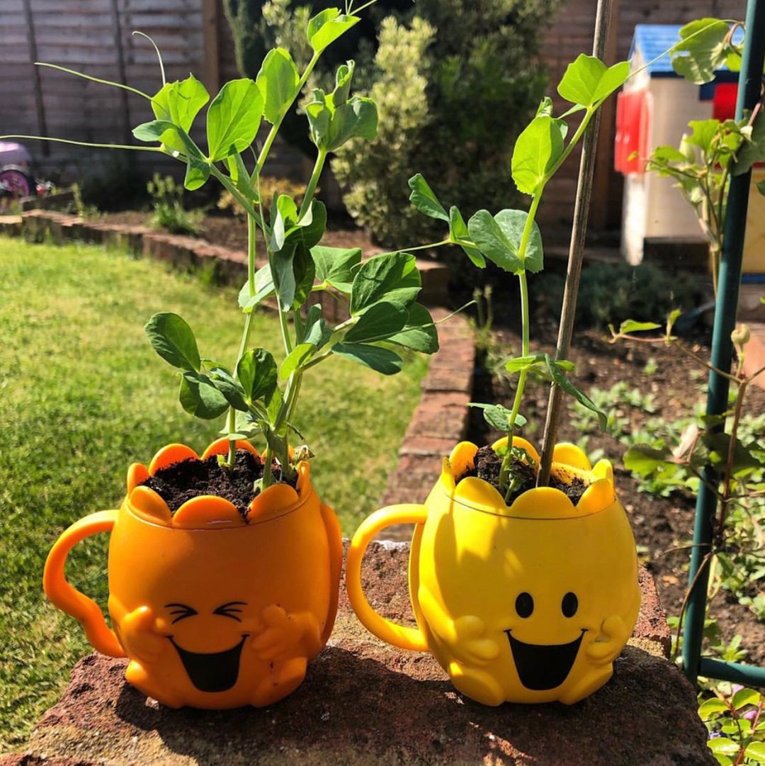 🌱 🌿Mr. Tickle &amp; Mr. Happy cups re-used as adorable planters by @thismumsavesmoney Spring is in the air! 🌱 🌿 #mrmenlittlemiss