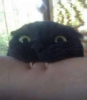 me arguing                 me arguing
in my head                  in real life