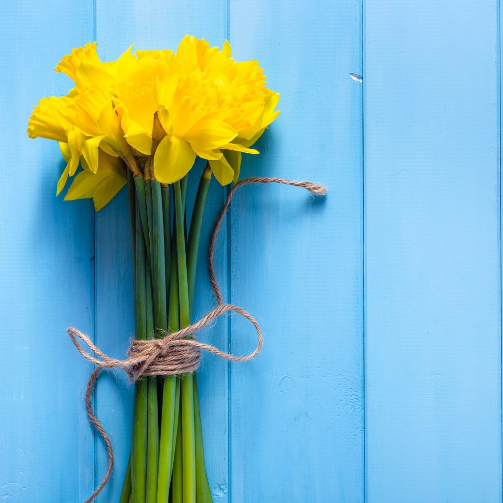 SOMS_STREET's tweet photo. Happy 1st #March! How crazy is it to think that in roughly three weeks' time, we would've gone into our first #lockdown a whole year ago? But with Spring well on its way &amp; with the vaccines being rolled out, it definitely feels like there is light at the end of the tunnel🙌🏻🌼 https://t.co/XmPRTKjF2Z