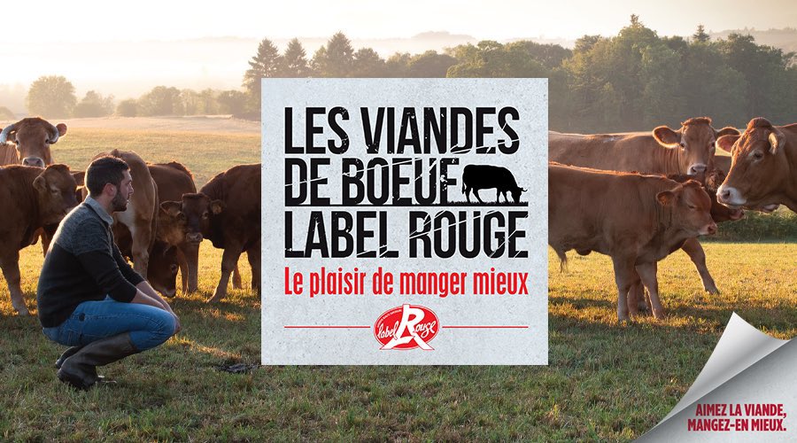 InterbevIDF's tweet photo. Aujourd’hui nous animons 2 restaurants parisiens de l’AGRAF https://t.co/k1whb3zotu avec des éleveurs du 53 👍 Les Viandes de Bœuf Label Rouge, viandes fournisseur Socopa Le Neubourg ➡️🎥 https://t.co/cxIwZY1sP1 @Interbev_Norm @Interbev_PdL @Economie_Gouv https://t.co/opYrIalHri https://t.co/36mK1vHYL5