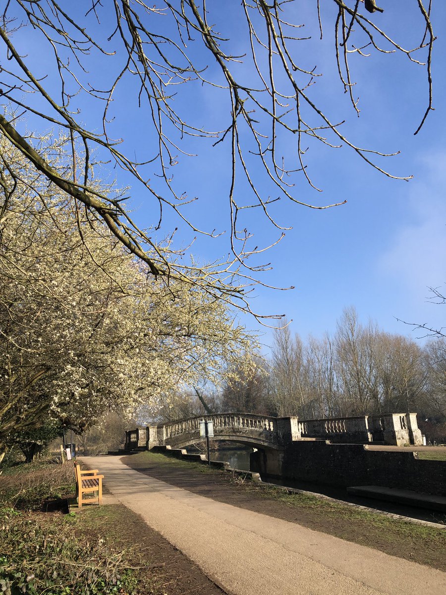SHSKMiddle's tweet photo. 21 sunny miles run over Saturday/Sunday: ultra training adding miles for #spinforsmartworks and #roadtoTokyo - or should it be #roadbacktoAbingdon? @ShskPE https://t.co/gScCNDlnNn