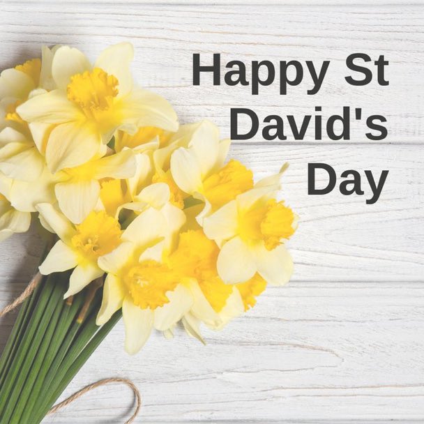 JiffyRugby's tweet image. 