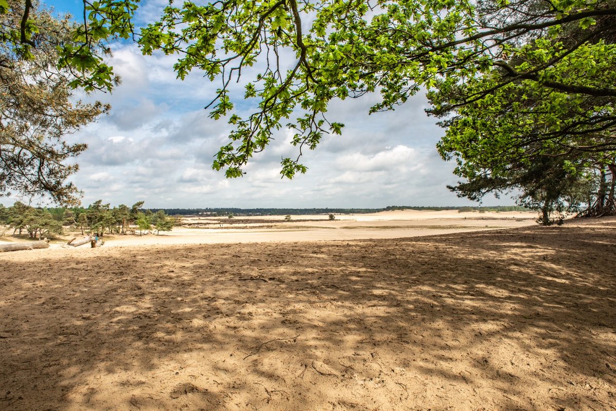 Wij kunnen dit jaar wandelgemeente van het jaar worden.🌳 Momenteel staan we op de tweede plek, maar we willen natuurlijk winnen! Helpen jullie ons mee naar de overwinning?🥇 Breng voor 20 maart je stem uit via loonopzand.nl/wandelgemeente.  Op 1 april weten we of we gewonnen hebben.