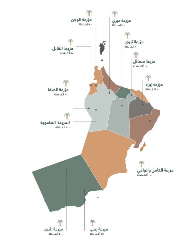 مزارع المليون نخلة tweet media