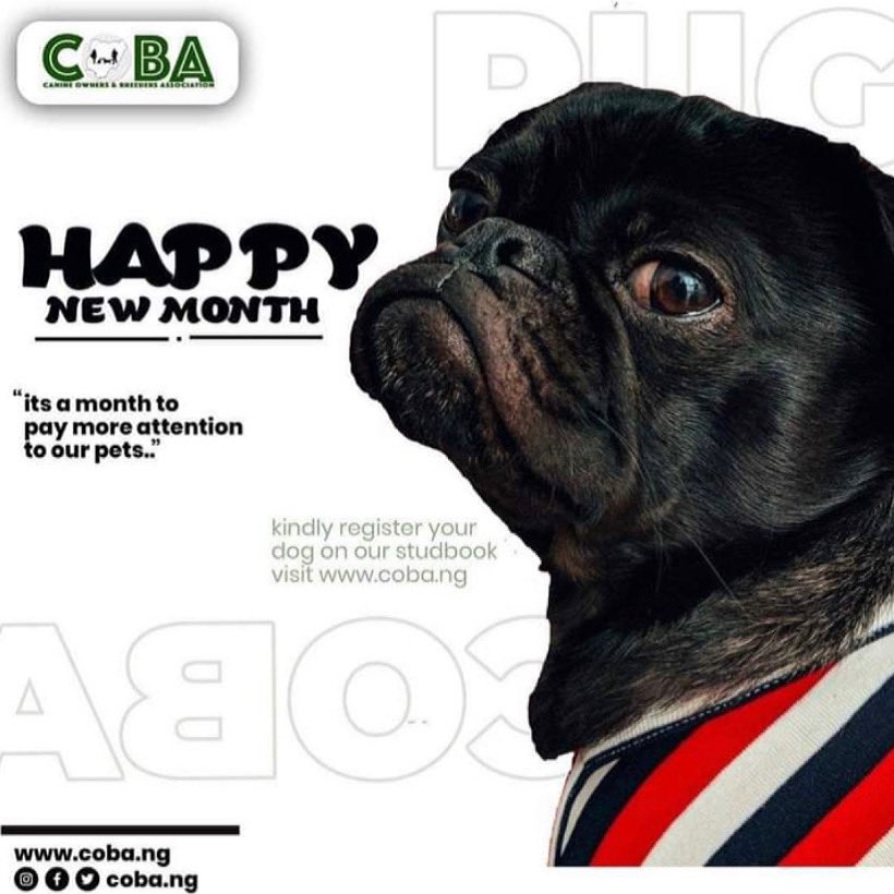 Happy new month to you all..
.
.
.
.
.
#dogbreeders #caninelovers #doglovers